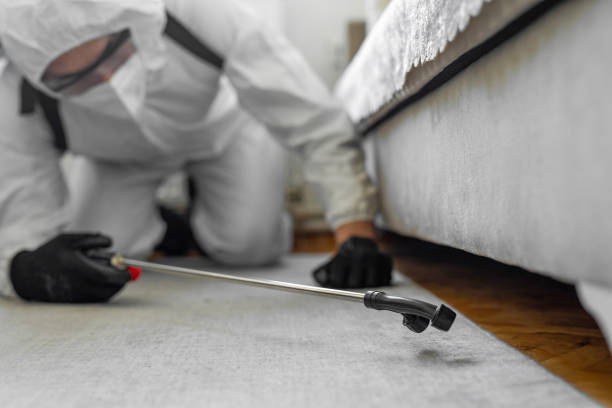 Professional Bed Bug Control technician working in Harrodsburg, KY