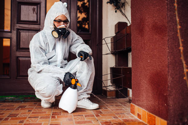 Reliable Bed Bug Control contractor in Harrodsburg, KY by Nex Pest Control